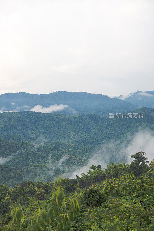 垂直薄雾的早晨风景自然景观风景日出和薄雾的山景在Phu Thap Boek，泰国蓓嘉汶